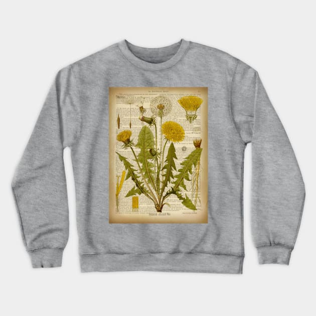 Botanical print, on old book page - Dandelion Crewneck Sweatshirt by ArtDreamStudio